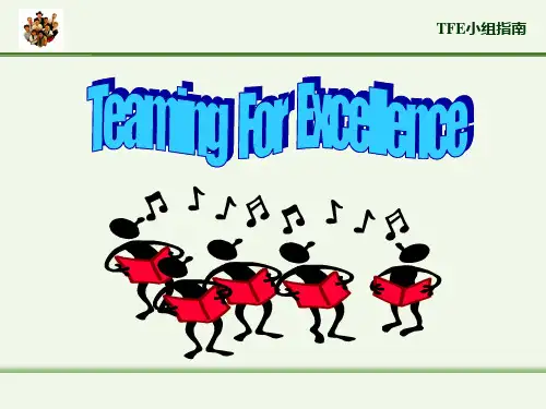TFE(Teaming For Excellence)