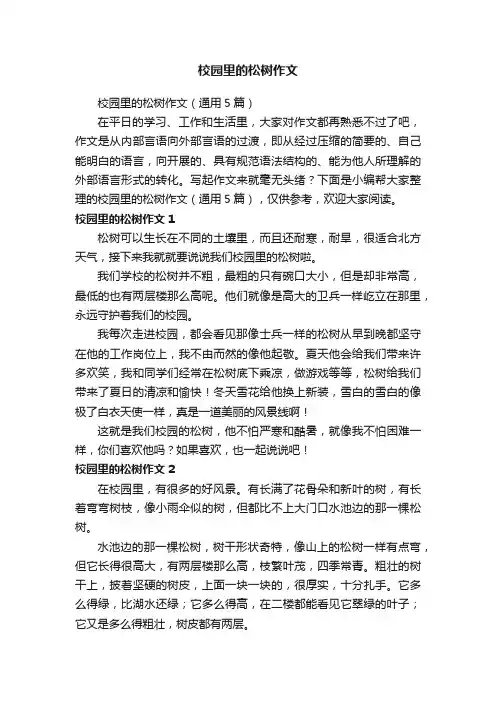 校园里的松树作文（通用5篇）