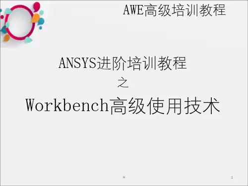ANSYS12.0中Workbench模块高级使用技术