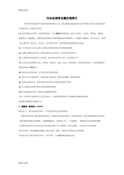 (整理)污水处理常见微生物照片