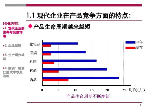 第二章生产运作战略ppt课件