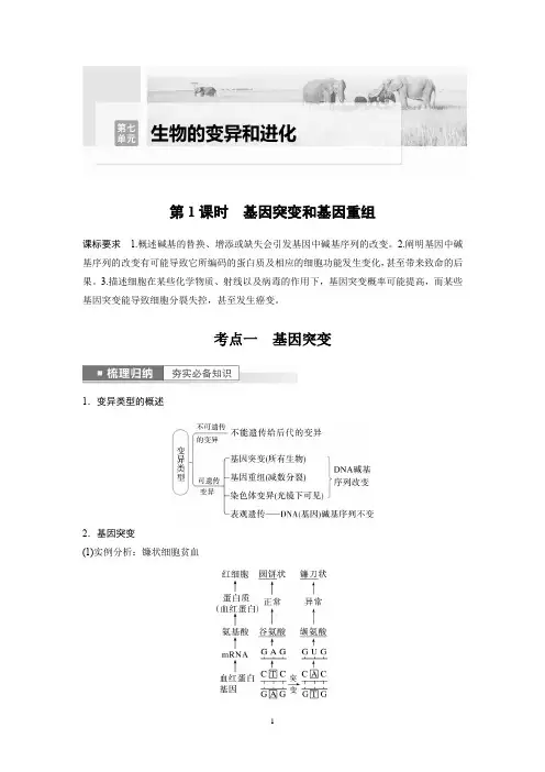2023年高考生物一轮复习(新人教新高考) 第7单元 第1课时 基因突变和基因重组