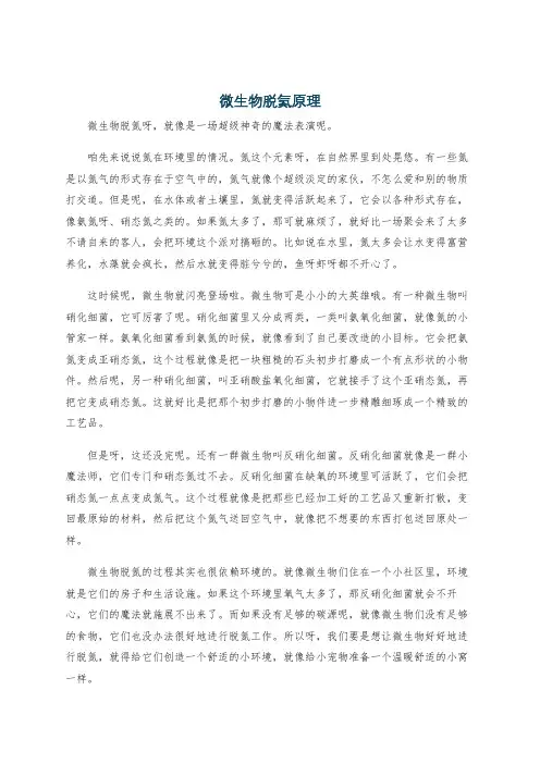 微生物脱氮原理