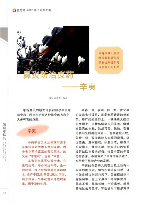 鼻炎防治良药--辛夷
