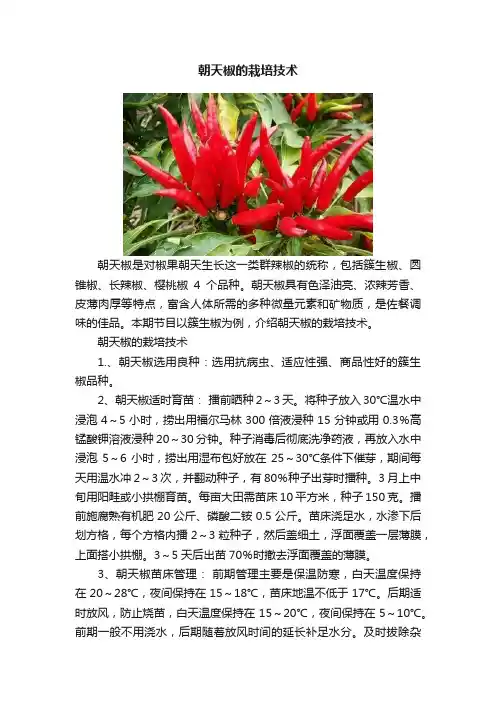 朝天椒的栽培技术