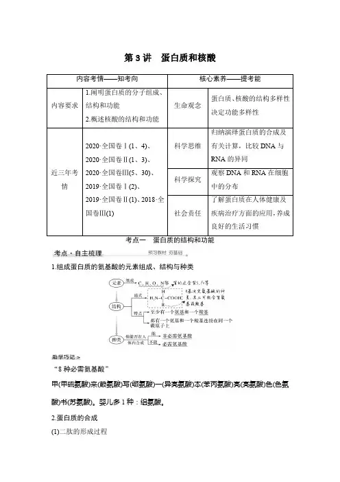 2022新高考 一轮复习  人教版   蛋白质和核酸  教案