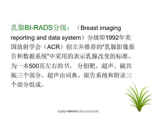 乳腺超声BIRADS分级专业知识讲座培训课件