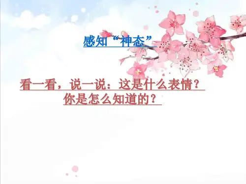 《神态描写》课件精品PPT课件