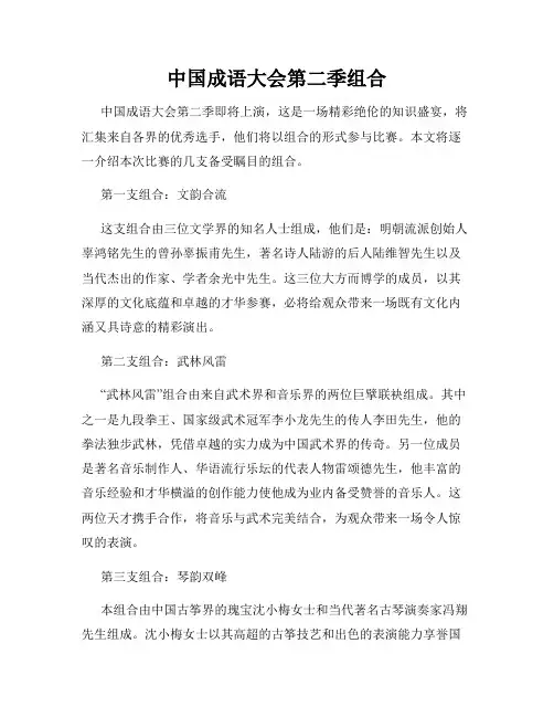 中国成语大会第二季组合