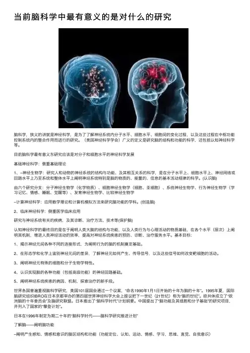 当前脑科学中最有意义的是对什么的研究