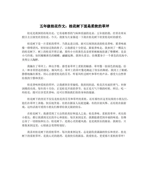 五年级桂花作文：桂花树下面是柔软的草坪