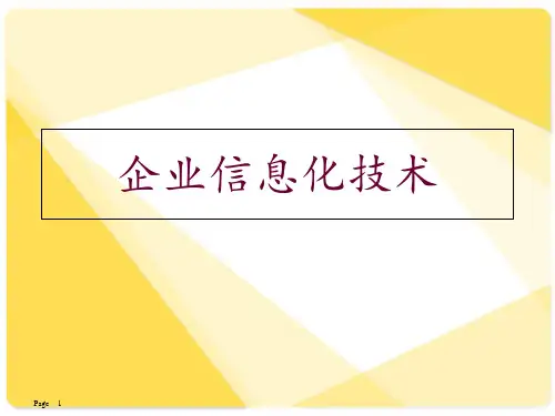 企业信息化技术  ppt课件