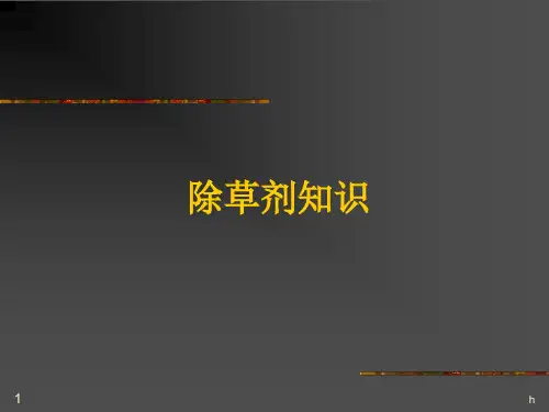 《除草剂知识》PPT课件