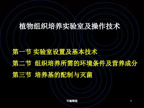 组织培养实验室及操作技术