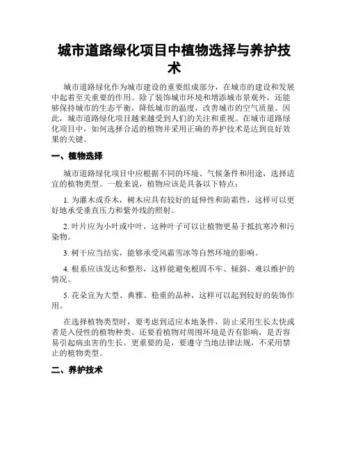 城市道路绿化项目中植物选择与养护技术
