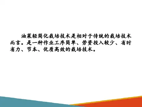 油菜生产计划制订—油菜的直播与轻简化栽培比较