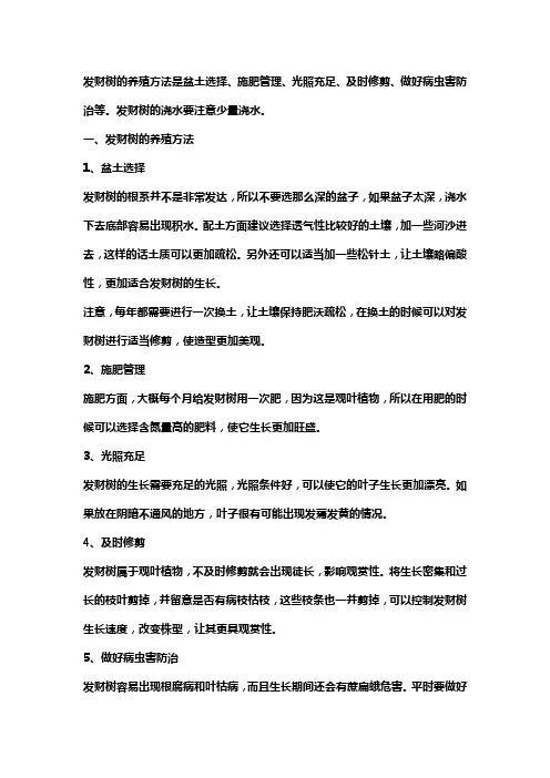 发财树的养殖方法和浇水施肥
