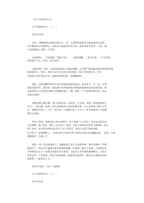 关于实验的作文12篇完整版