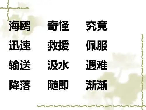 水上飞机PPT