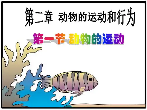 《第二章_动物的运动和行为》复习课件