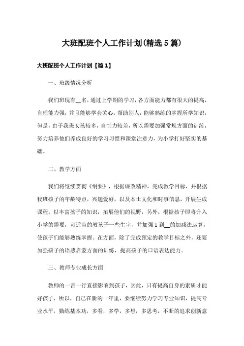 大班配班个人工作计划(精选5篇)