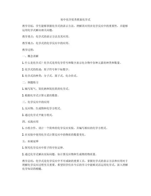初中化学优秀教案化学式