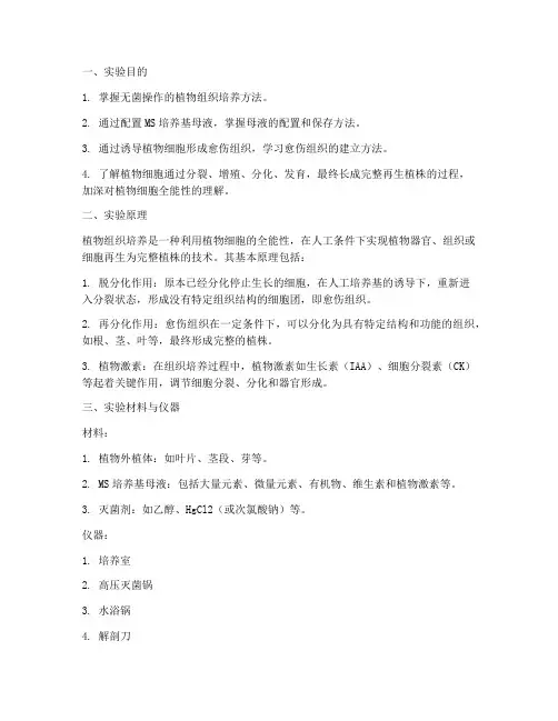 组织培养实验报告