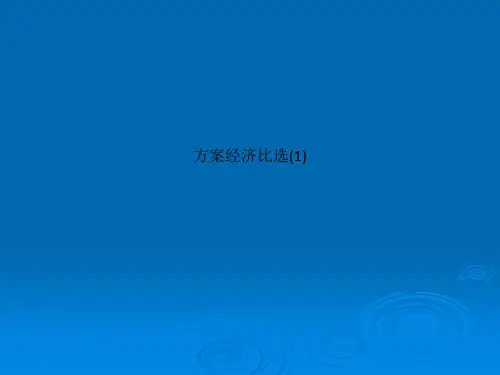 方案经济比选(1)