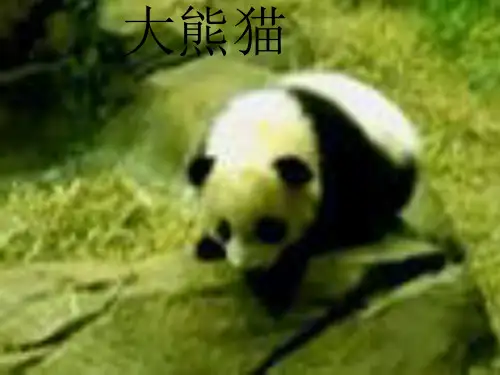 珍稀动植物