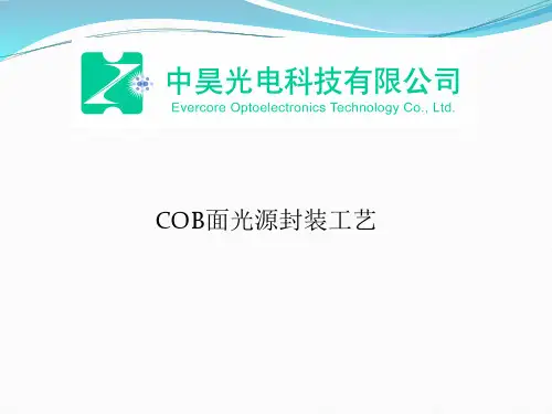 COB封装工艺流程 ppt课件