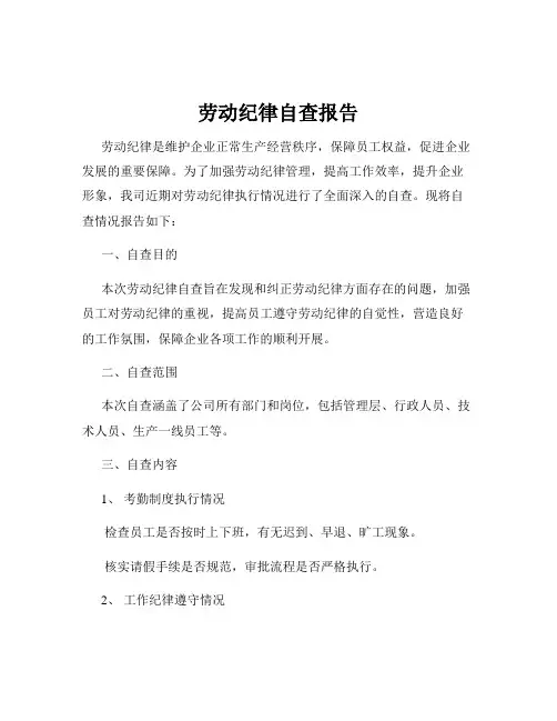 劳动纪律自查报告