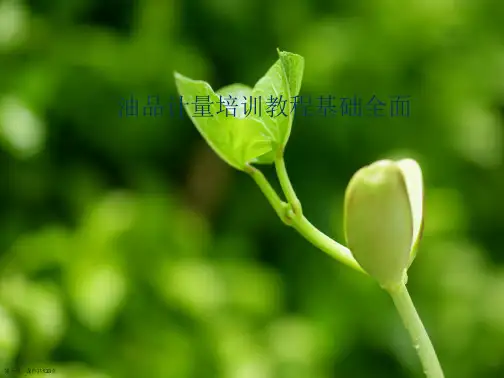 油品计量培训教程基础全面