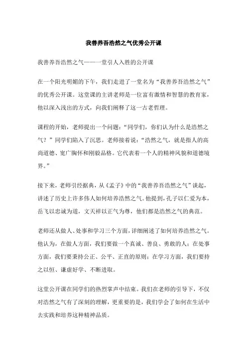 我善养吾浩然之气优秀公开课