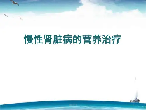 慢性肾脏病的营养治疗  ppt课件