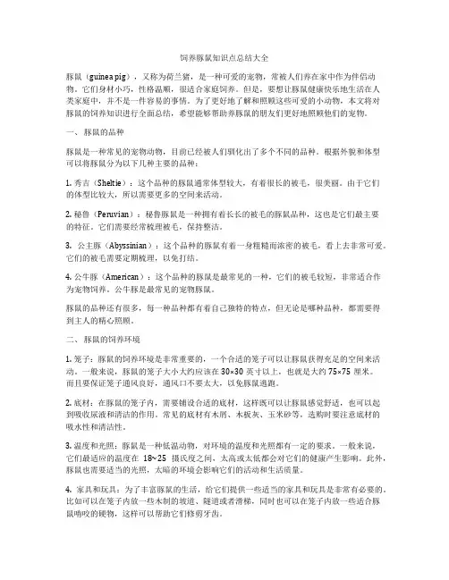 饲养豚鼠知识点总结大全