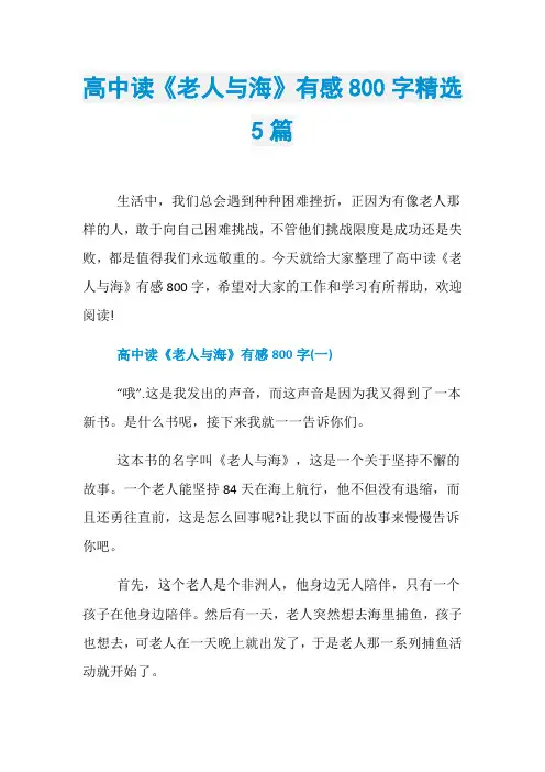 高中读《老人与海》有感800字精选5篇