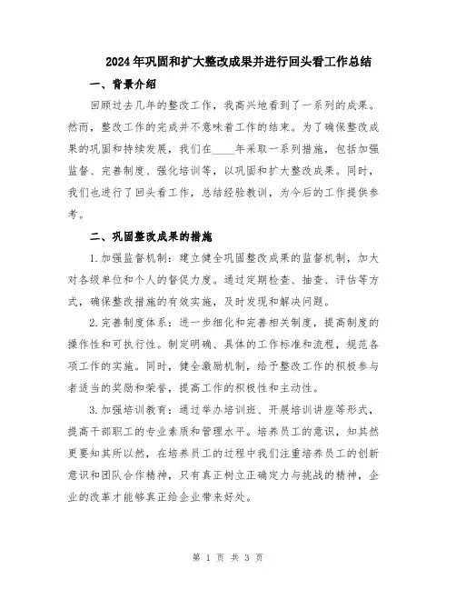 2024年巩固和扩大整改成果并进行回头看工作总结
