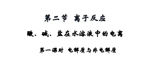 电解质非电解质  课件-高一化学人教版(2019)必修第一册    