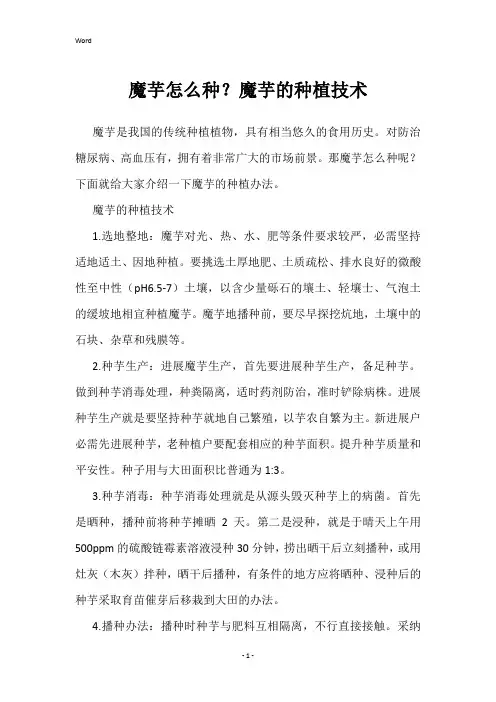 魔芋怎么种？魔芋的种植技术