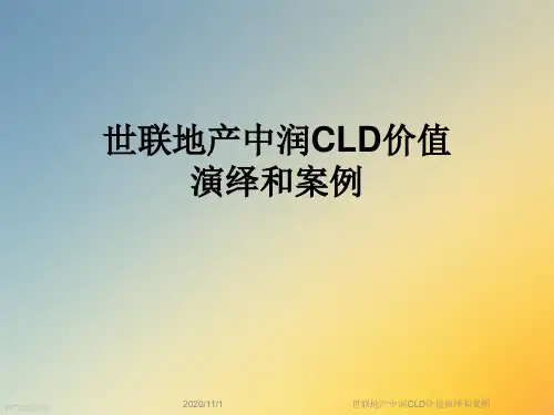 世联地产中润CLD价值演绎和案例