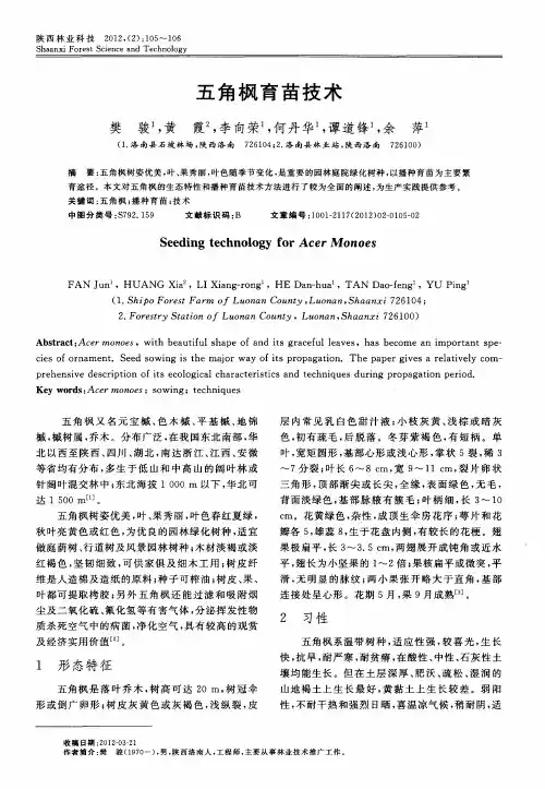 五角枫育苗技术