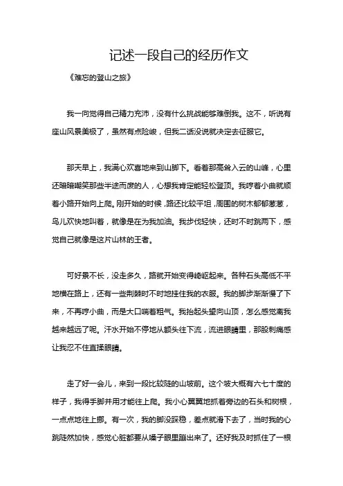 记述一段自己的经历作文