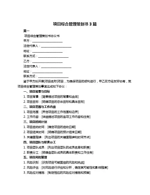 项目综合管理策划书3篇