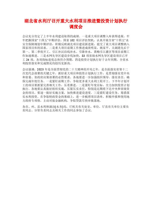 湖北省水利厅召开重大水利项目推进暨投资计划执行调度会