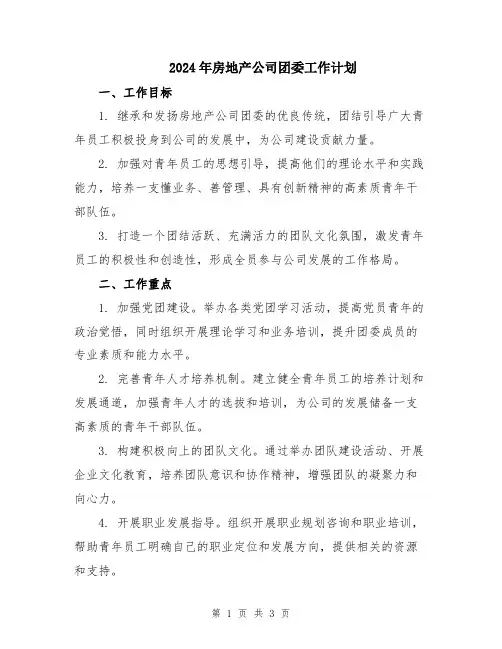 2024年房地产公司团委工作计划