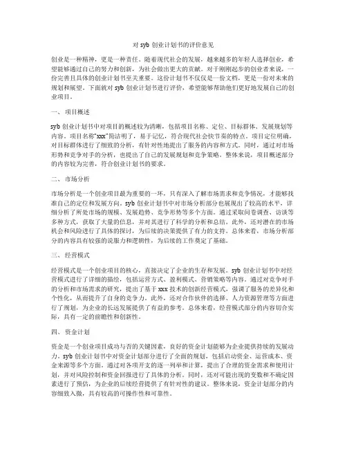 对syb创业计划书的评价意见