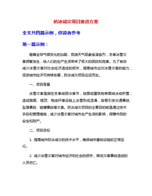 防冰减灾项目推进方案