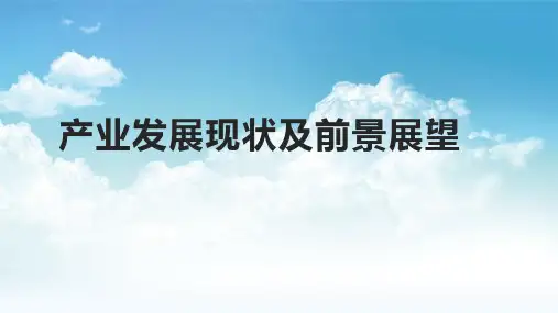产业发展现状及前景展望