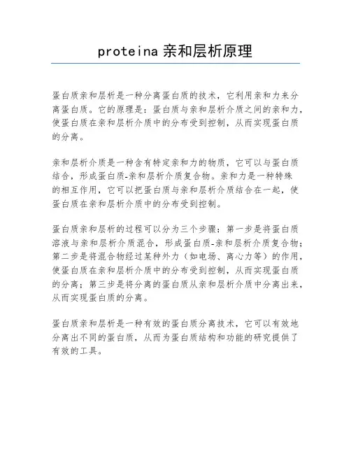 proteina亲和层析原理