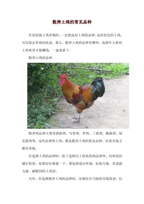 散养土鸡的常见品种
